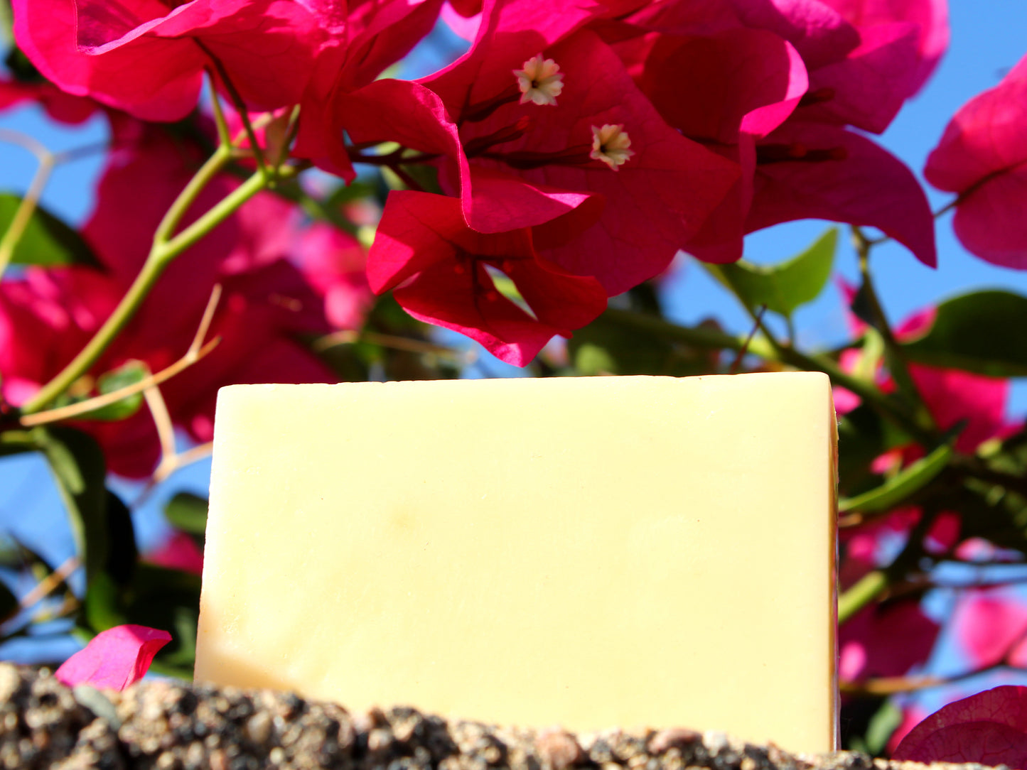 Blood Orange and Cedarwood Bar Soap
